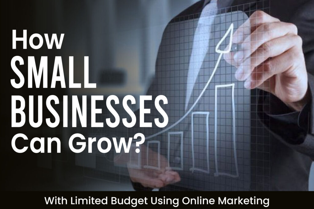 How Small Businesses Can Grow in 2025 Using Online Marketing on a Limited Budget