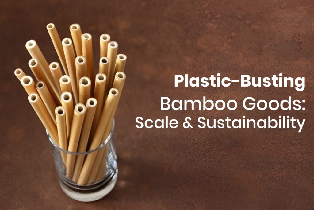Plastic-Busting Bamboo Goods showcasing natural straws for Scale & Sustainability