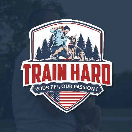 logo-design-profotlio--04