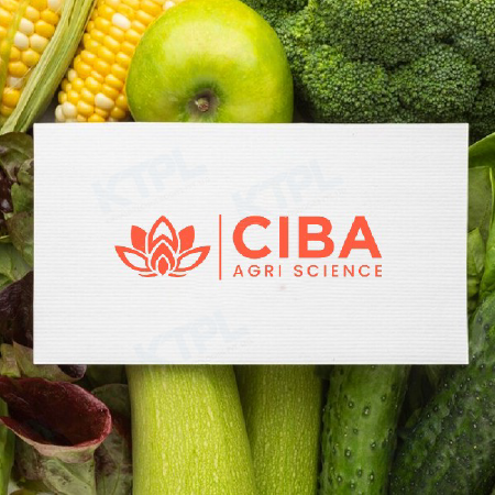 logo-design-profotlio--10