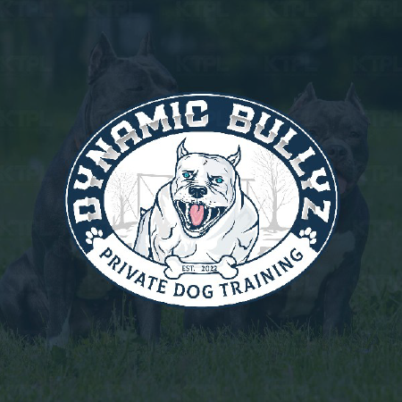 logo-design-profotlio--13