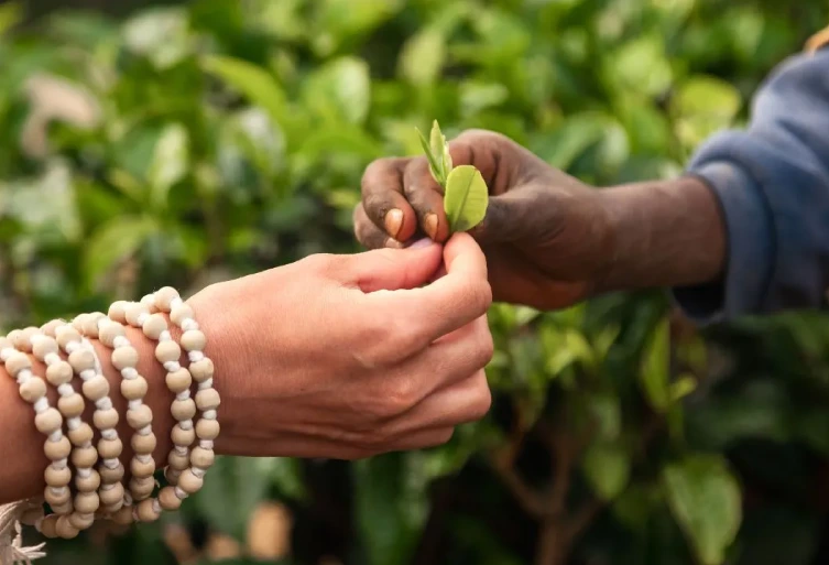 Ethical Sourcing and Fair Treatment of Workers