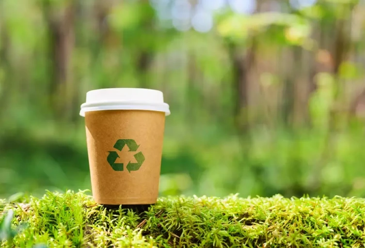 Sustainable Innovation Behind The Right Cup
